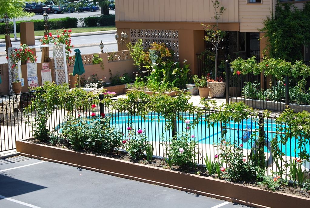Stanford Motor Inn Palo Alto Konforlar fotoğraf